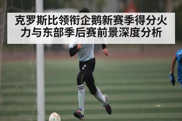 克罗斯比领衔企鹅新赛季得分火力与东部季后赛前景深度分析